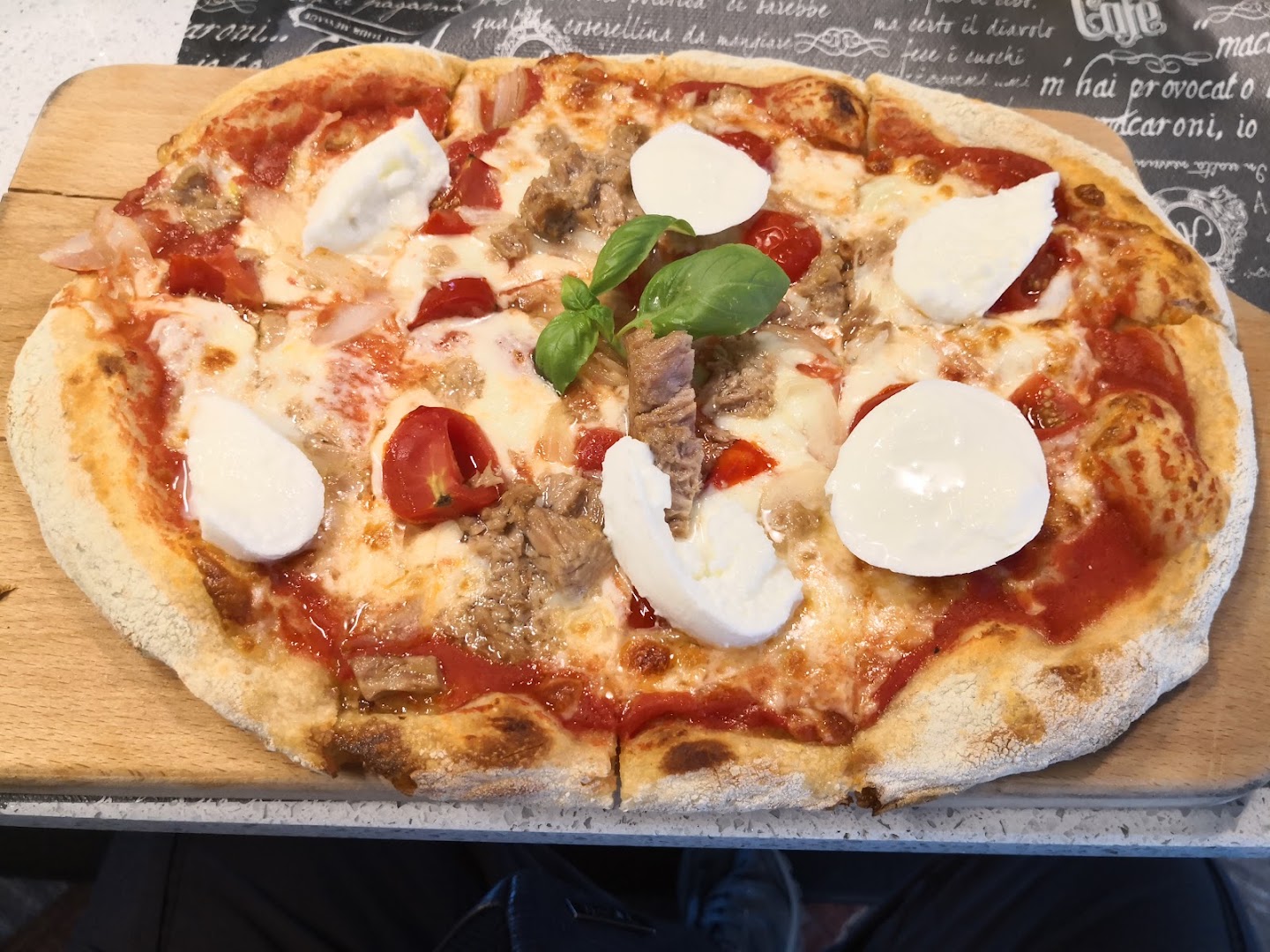 PanCacao, Pavia