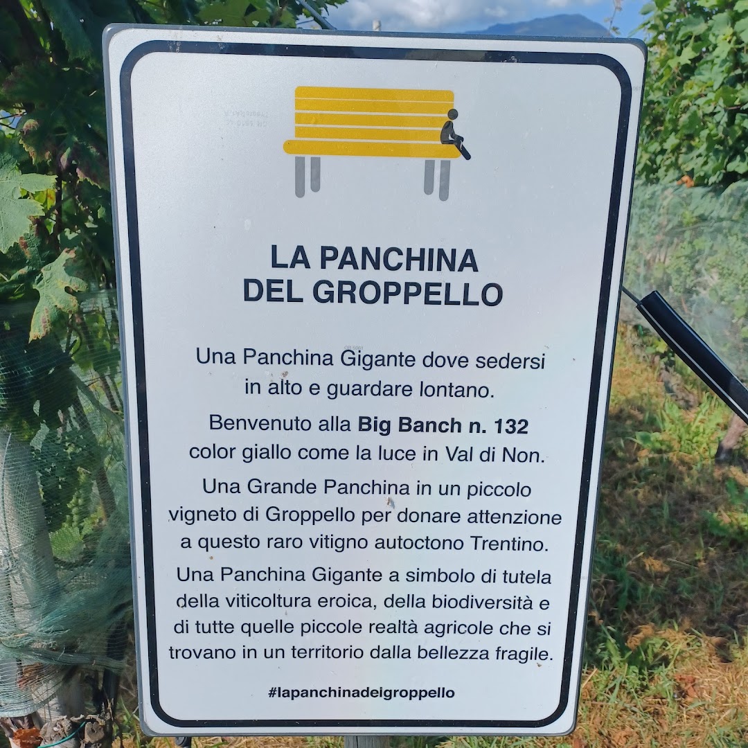 Panchina Gigante 132 - Groppello