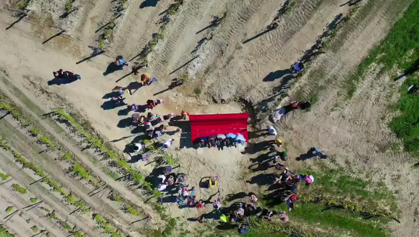 Panchina Gigante 65 - Diano d'Alba