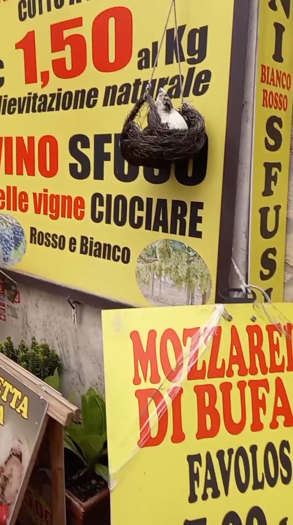 Pane Ciociaro