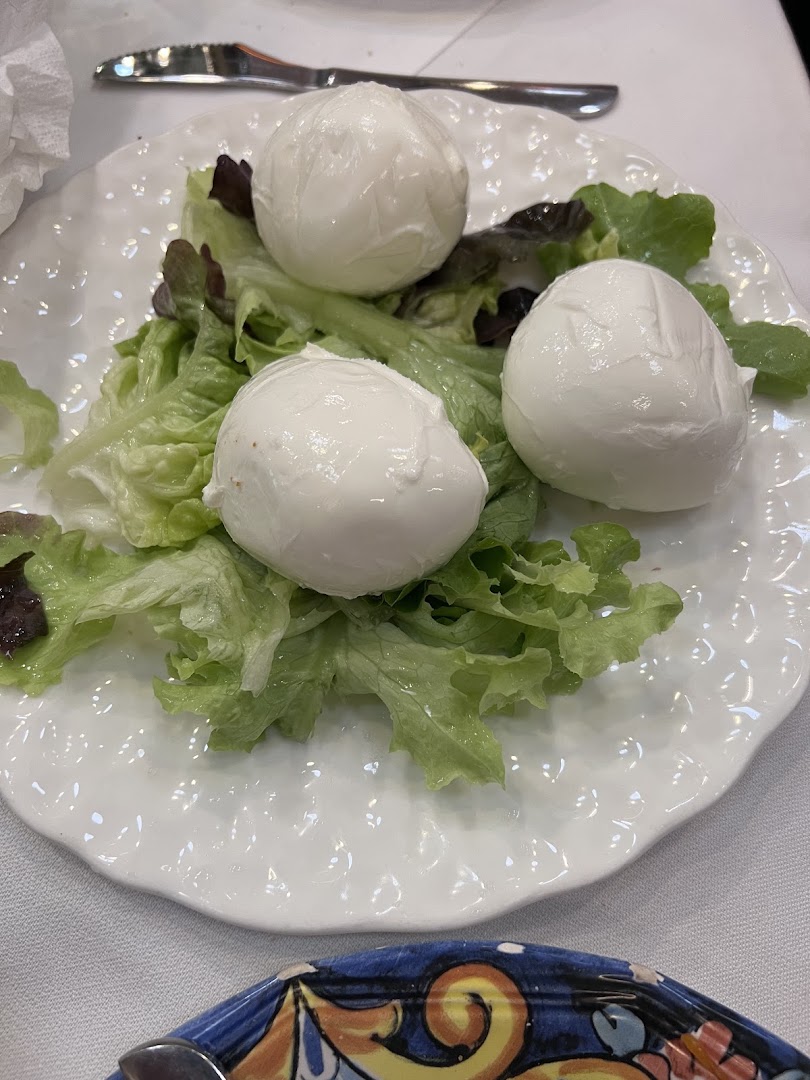 Pane e Pomodoro a colori