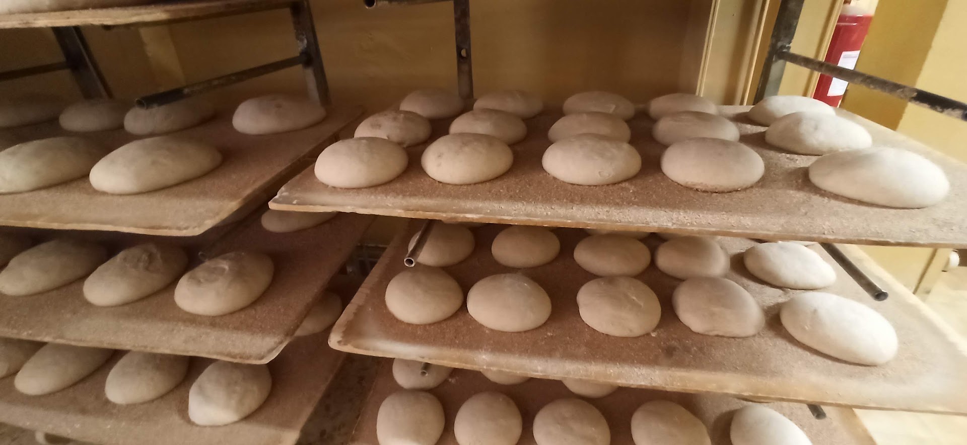 Panificio Asplanato - Pane di Triora