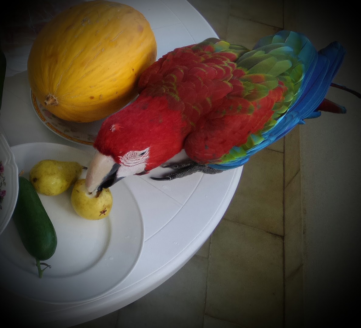 Panificio Bon Pan