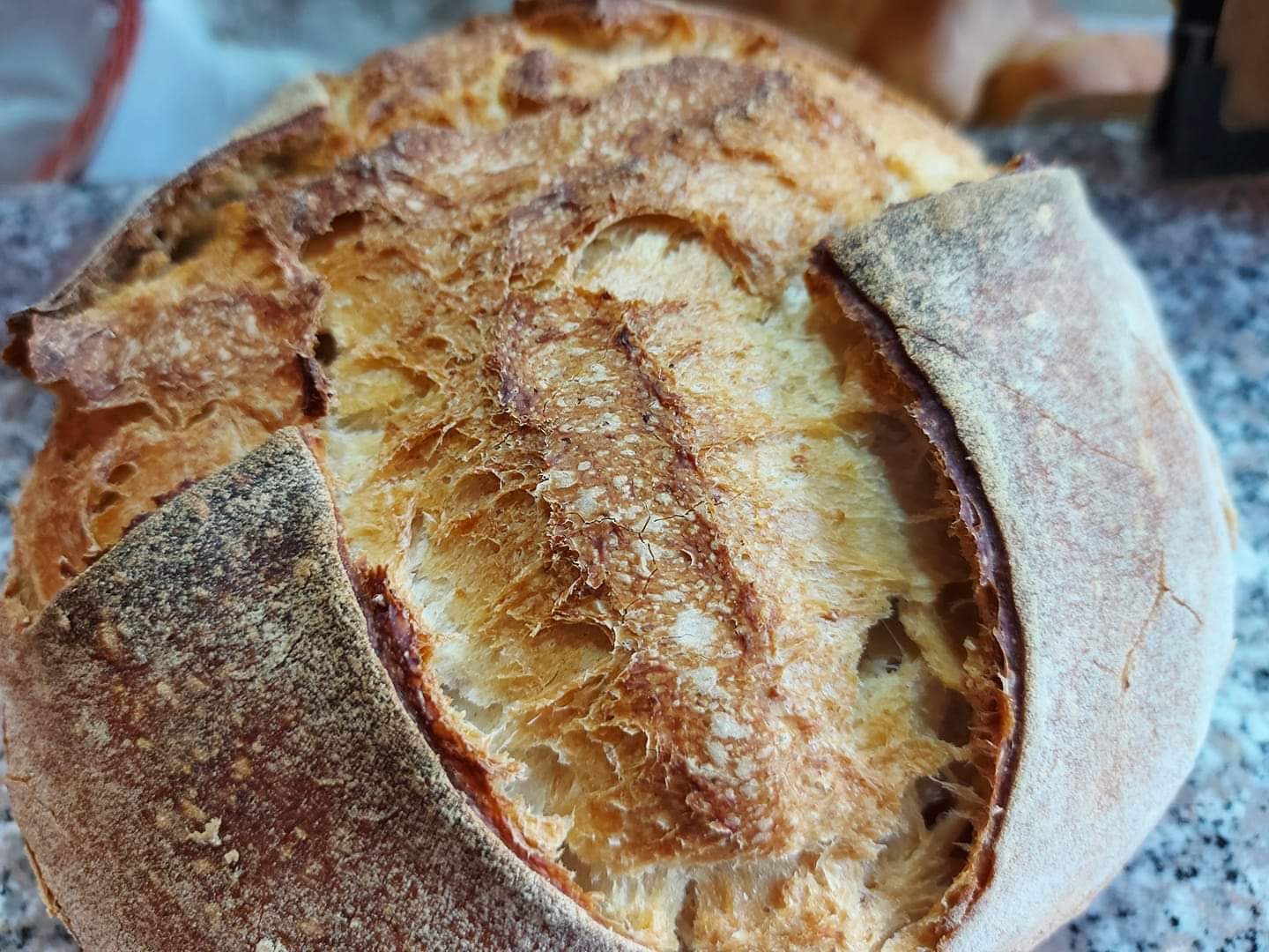 Panificio Buccella L'Antica Arte Del Pane S.N.C.