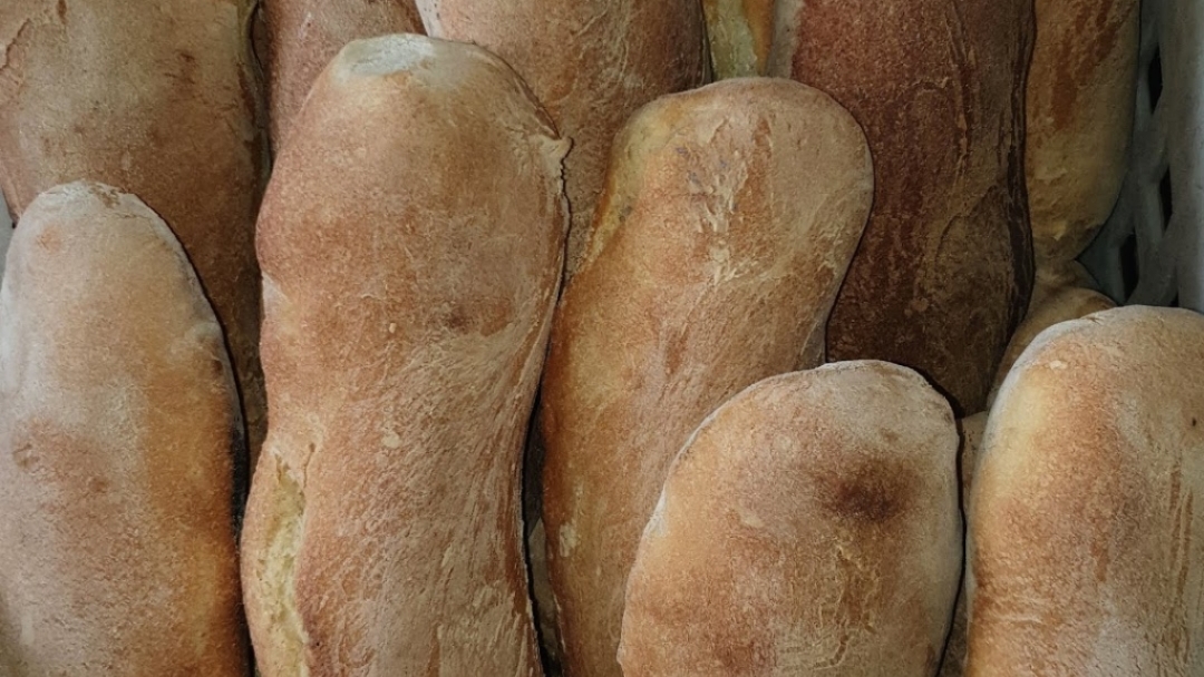 Panificio Casereccio - Salumeria Barbagiovanni SRL