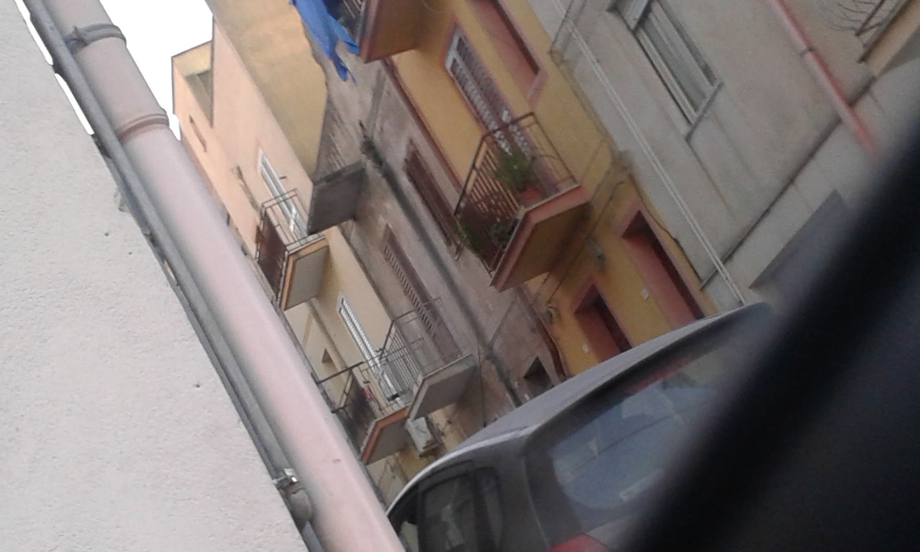 Panificio Cirrotta 4.0 Maria Immacolata