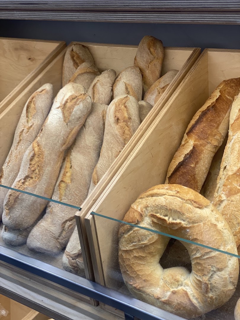 Panificio Focacceria 24&50