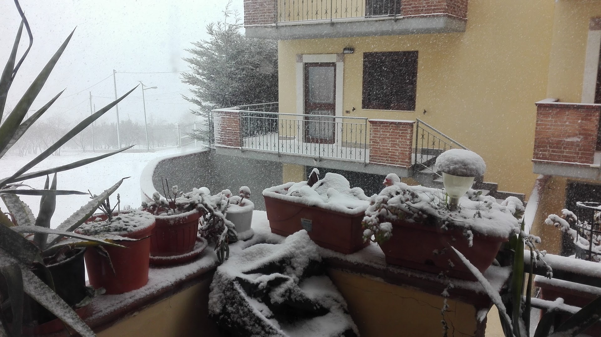 Panificio Il Buongustaio Sibilia