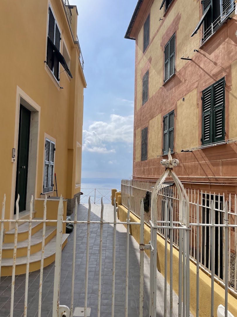 Panificio Maccarini