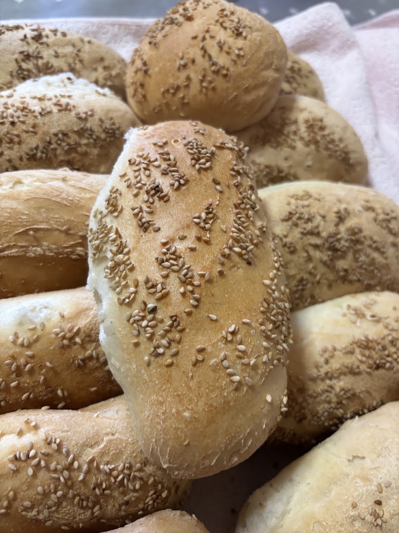 Panineria ina