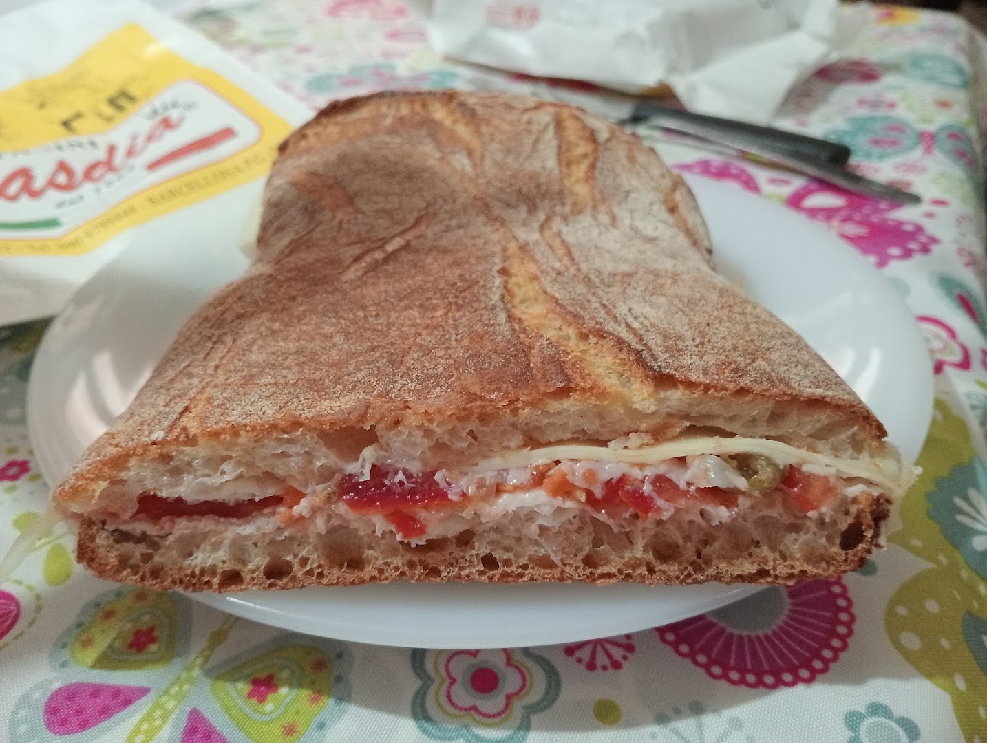 Panini Casdia