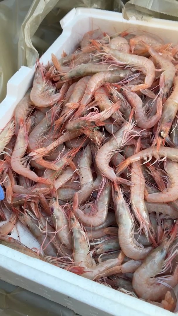 Paninoteca Da Remi