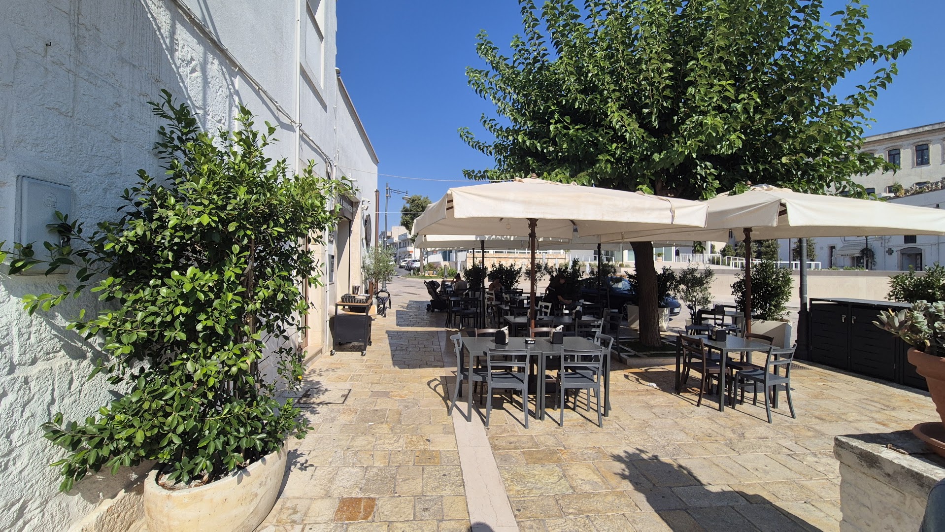 Paninoteca Pane e Mozza - casari e salumieri