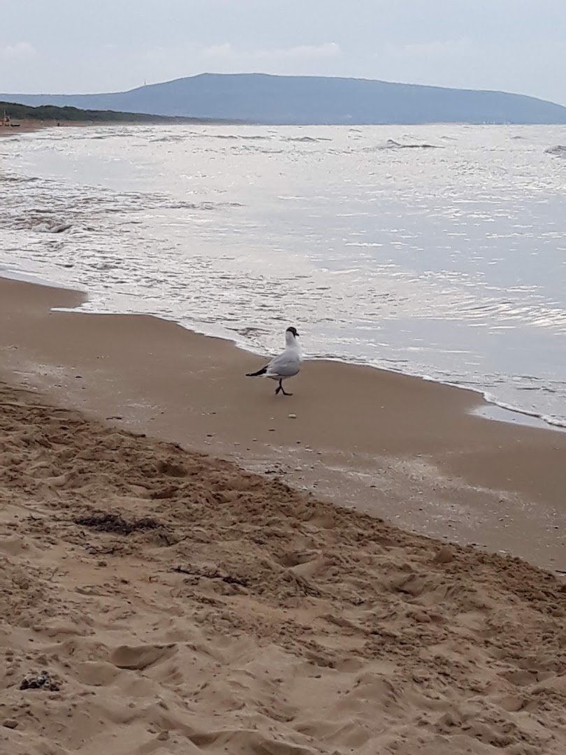 Panis Beach