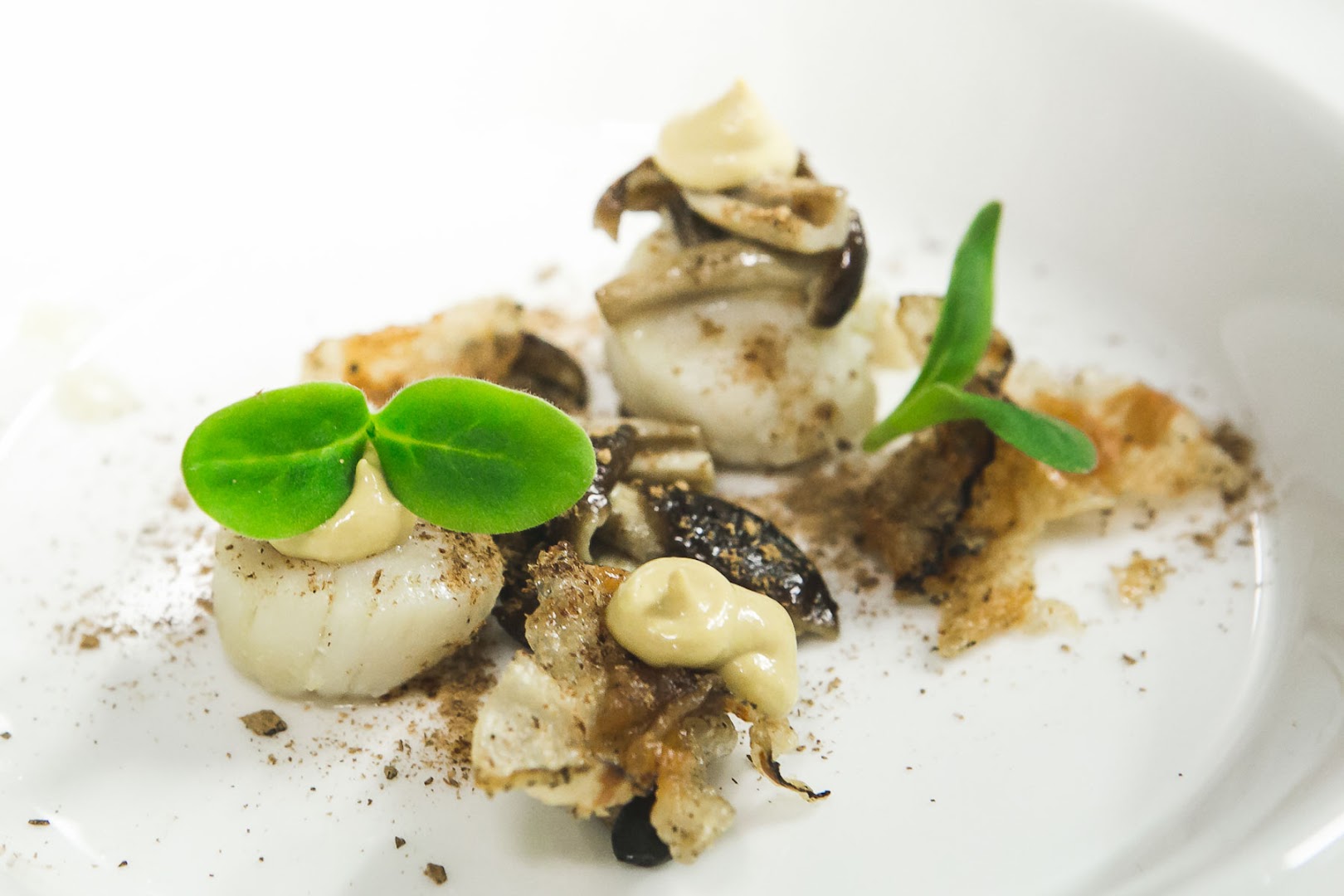 Papill'on - La cucina su misura