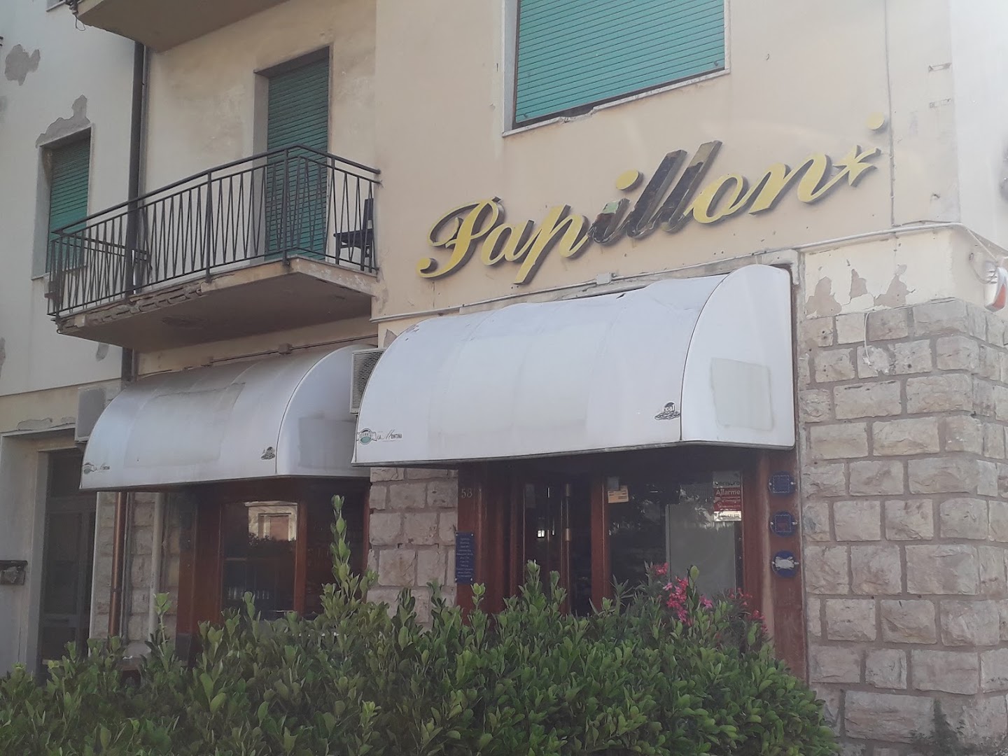 Papillon Livorno