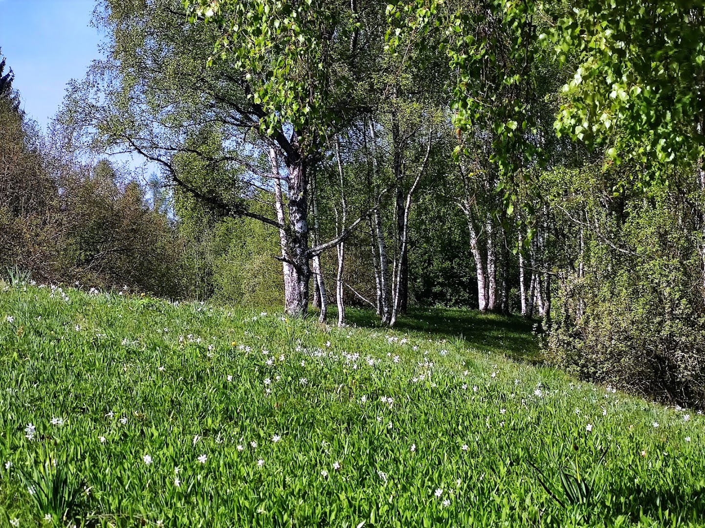 Parcheggio sotto Baiocco