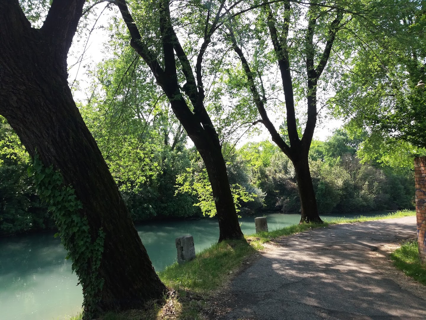Parchetto di via Alzaia alla segheria, Silea
