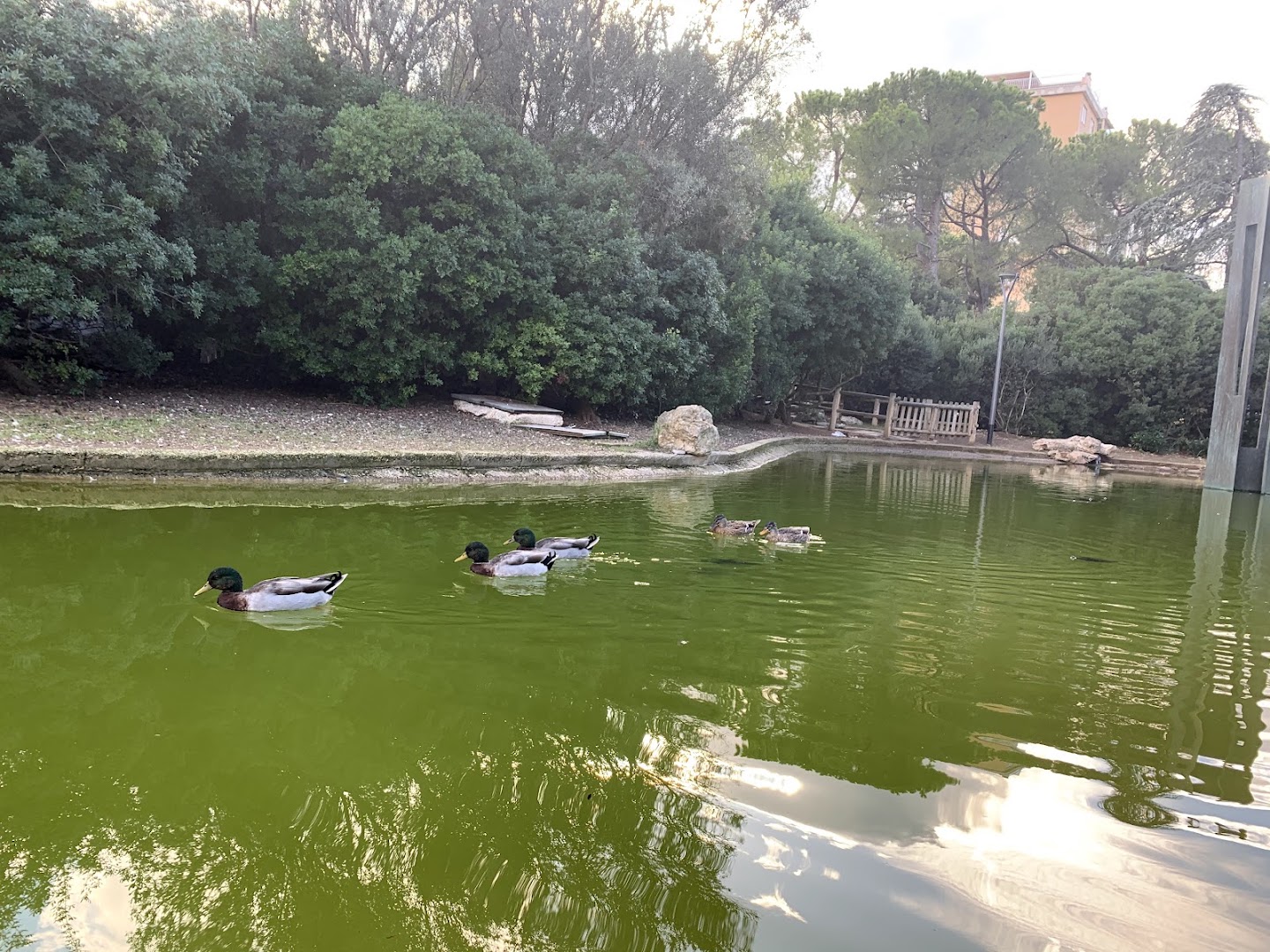 Parco 2 Giugno, Bari