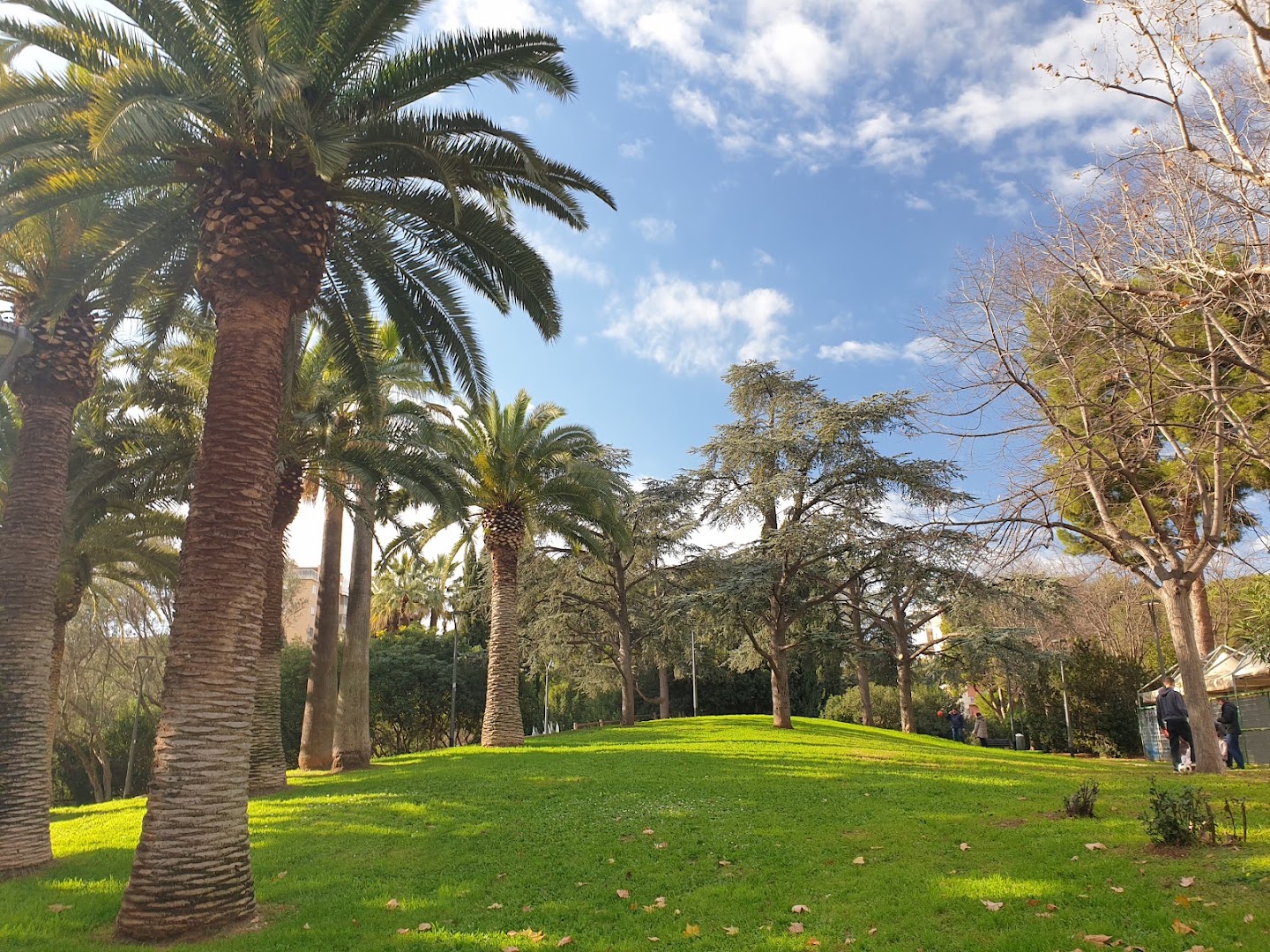 Parco 2 Giugno