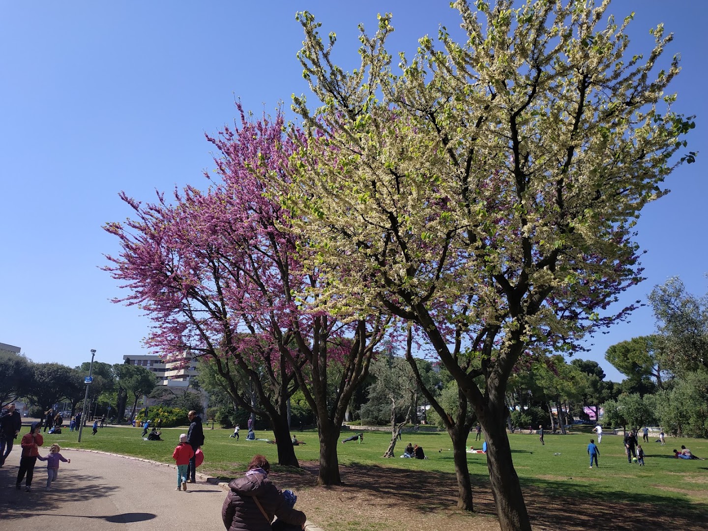 Parco 2 Giugno
