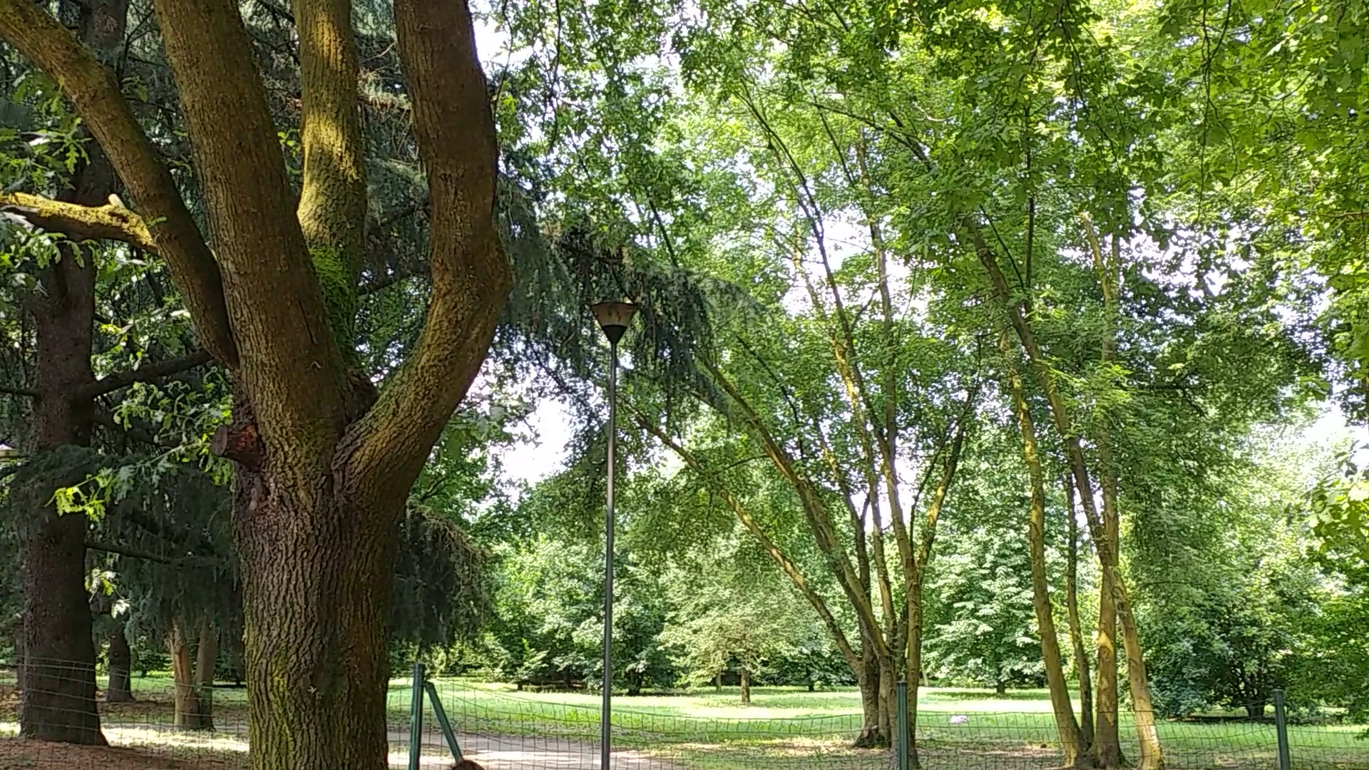 Parco Aldo Moro