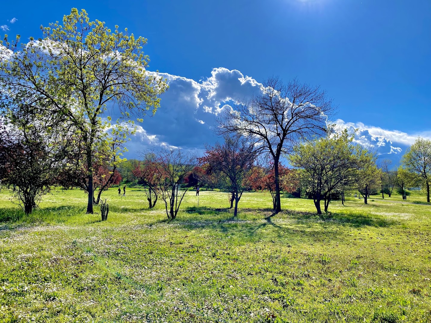 Parco Amarcord Casalgrande