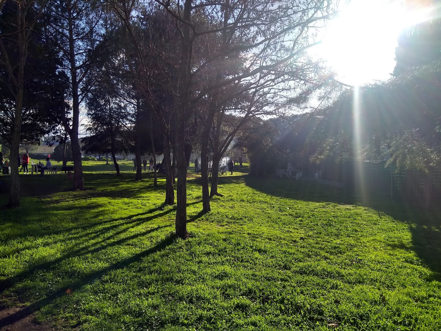 Parco Andrea Campagna