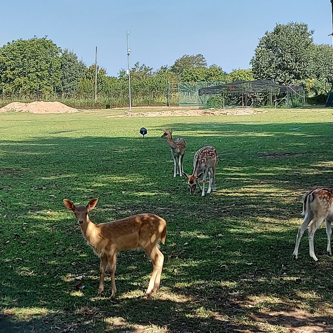 Parco Arcadia