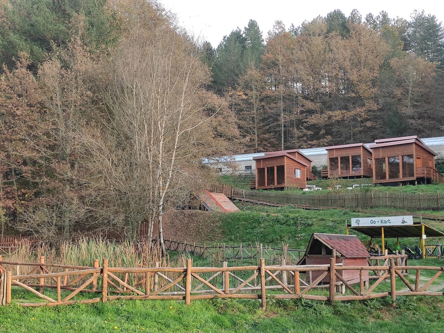 Parco Avventura Alberolandia