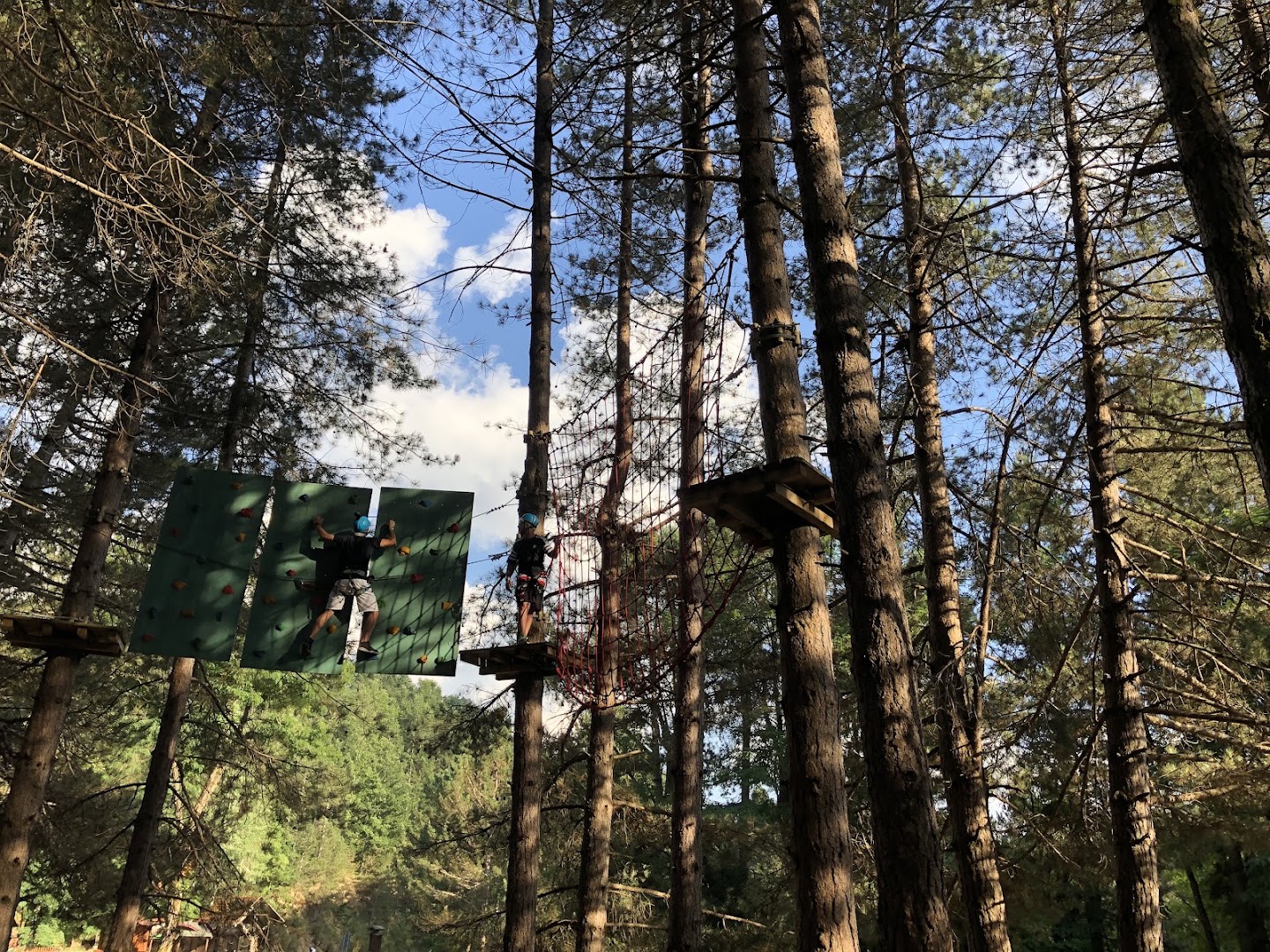 Parco Avventura Alberolandia
