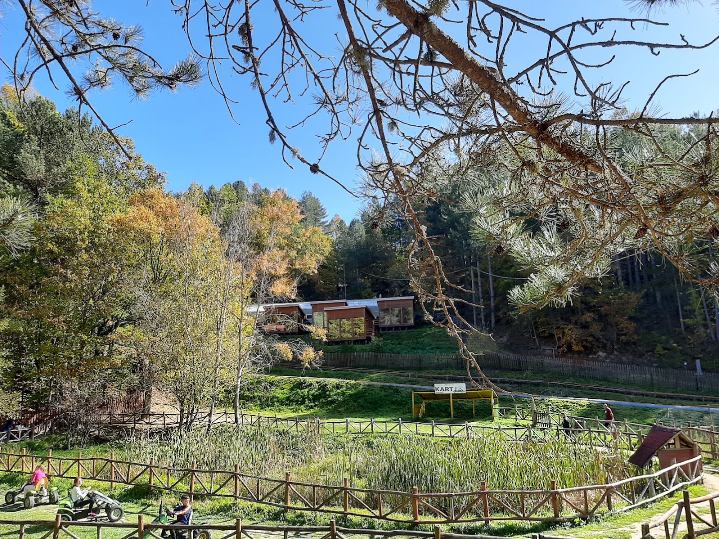 Parco Avventura Alberolandia