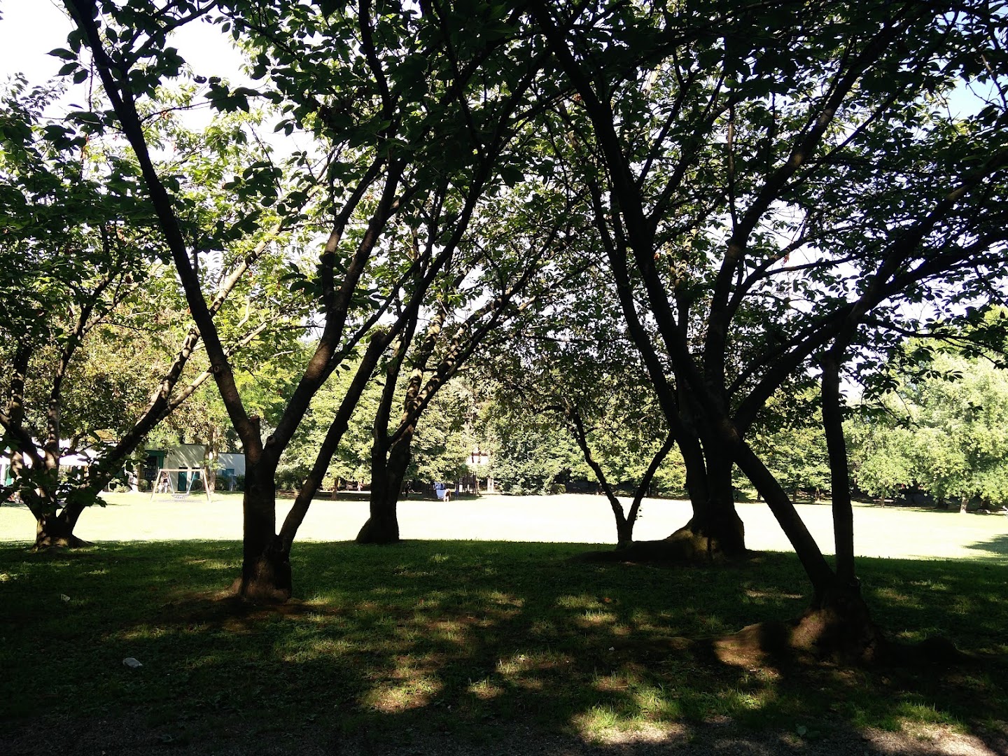 Parco Beldì