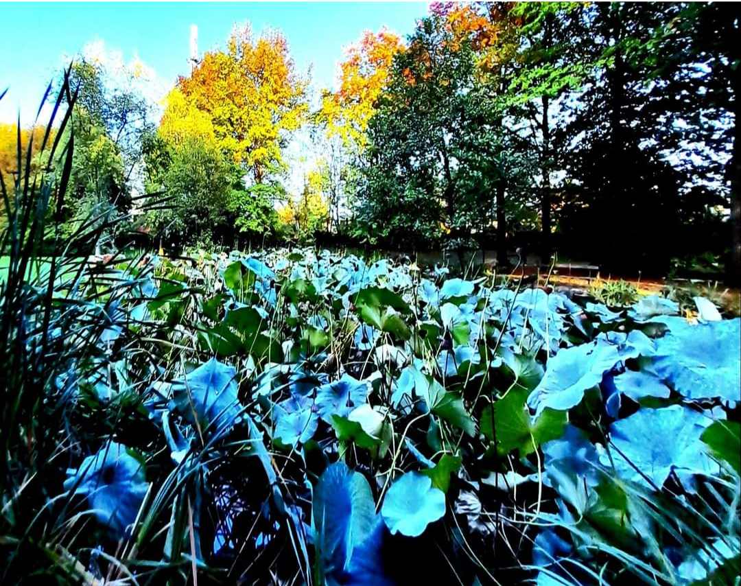 Parco Beldì