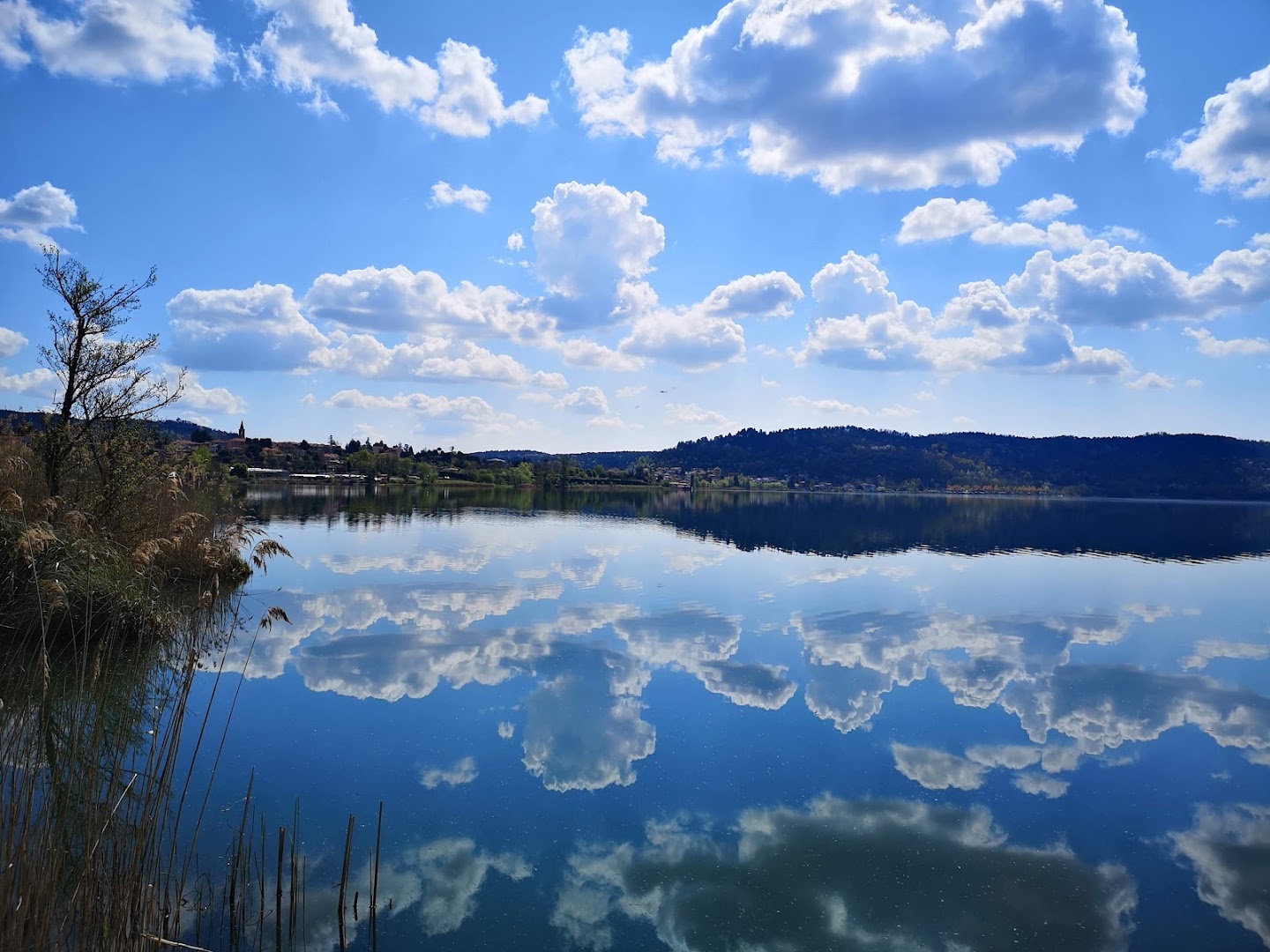 Parco Berrini