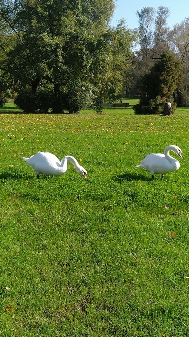 Parco Berrini
