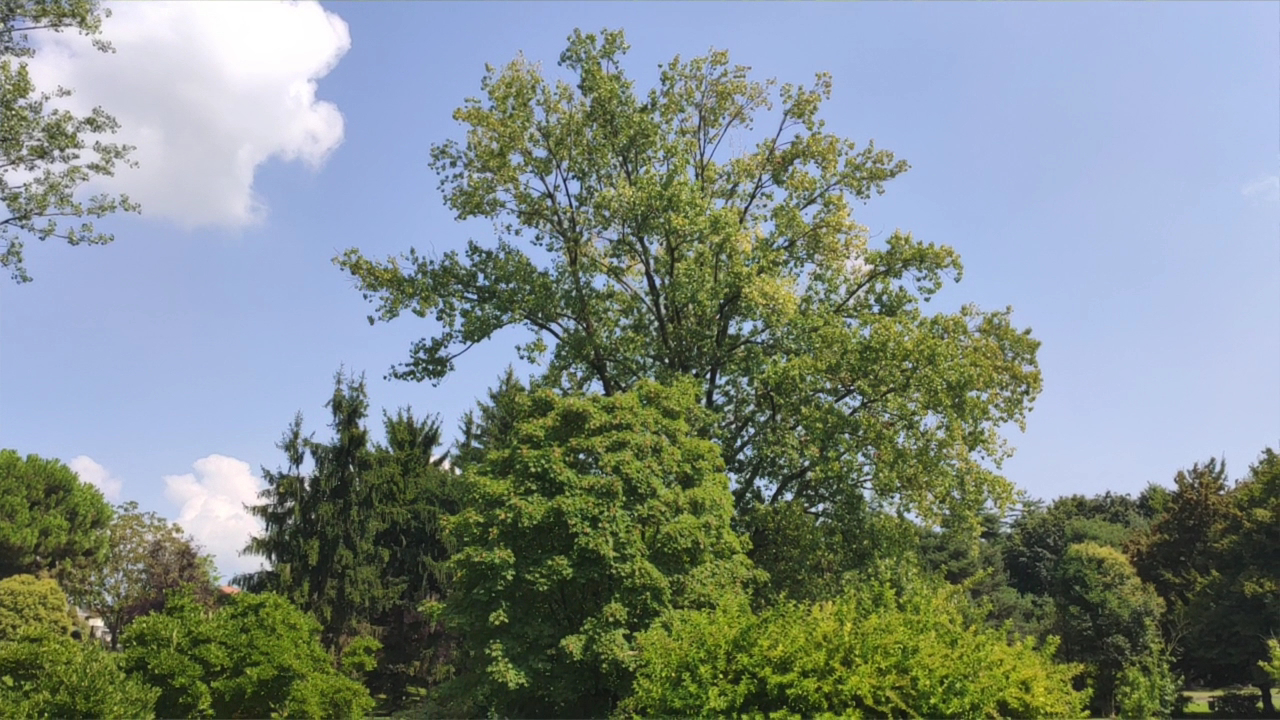 Parco Berrini