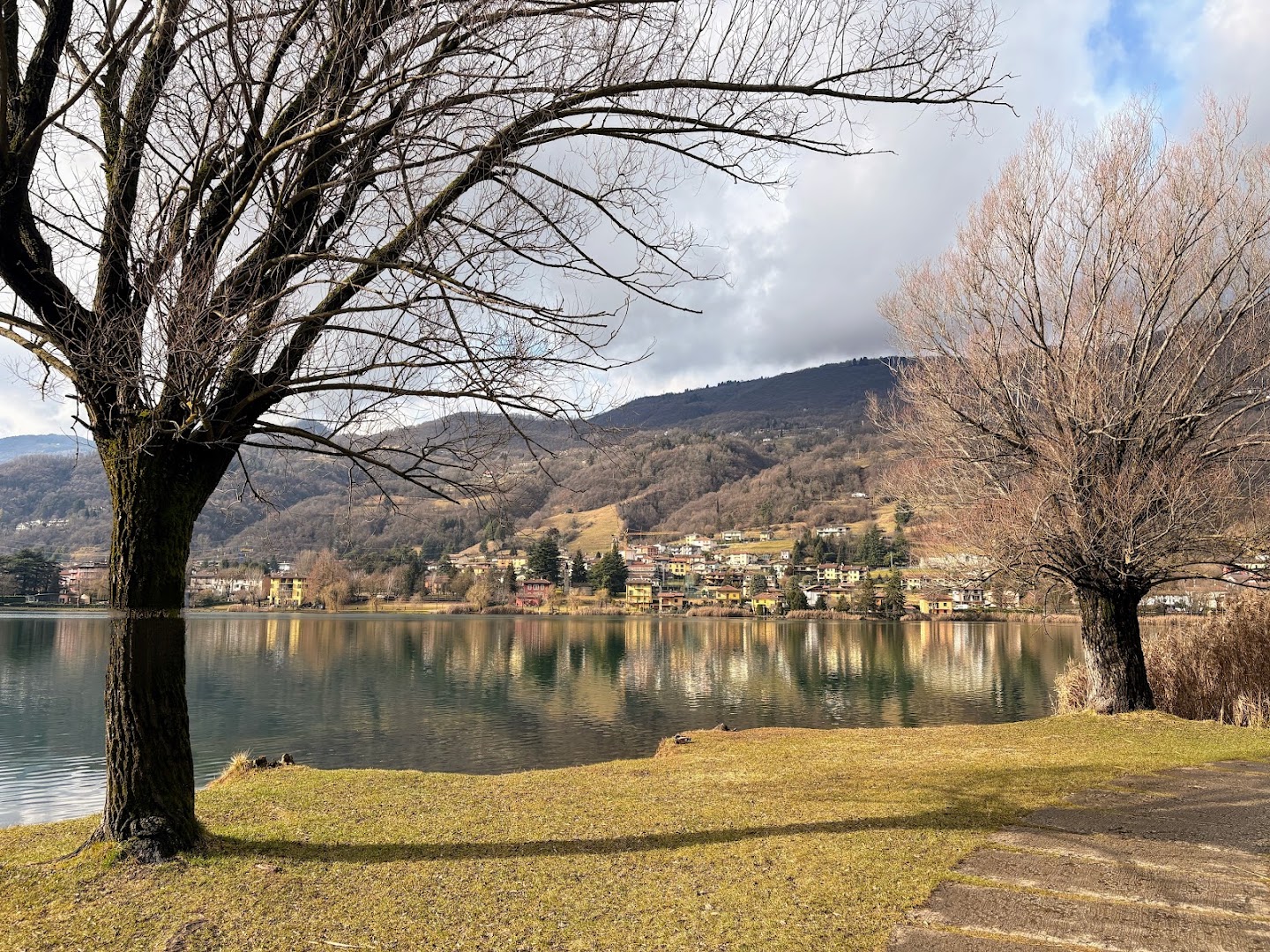 Parco BIALI