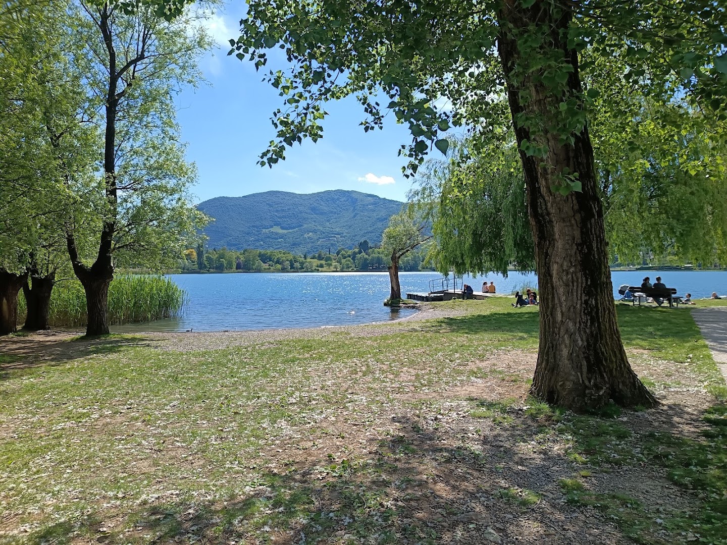 Parco BIALI
