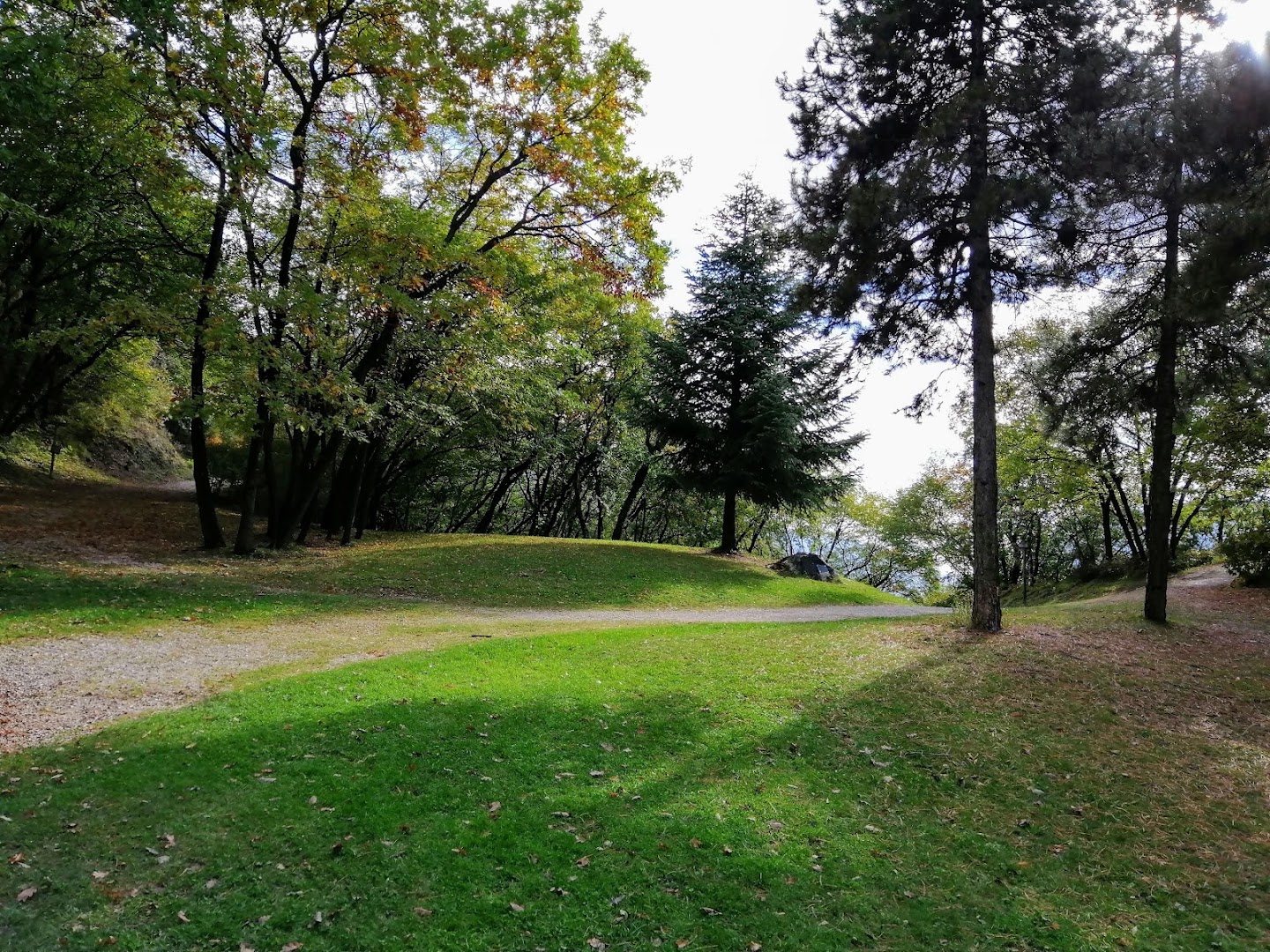 Parco Bosco della Città