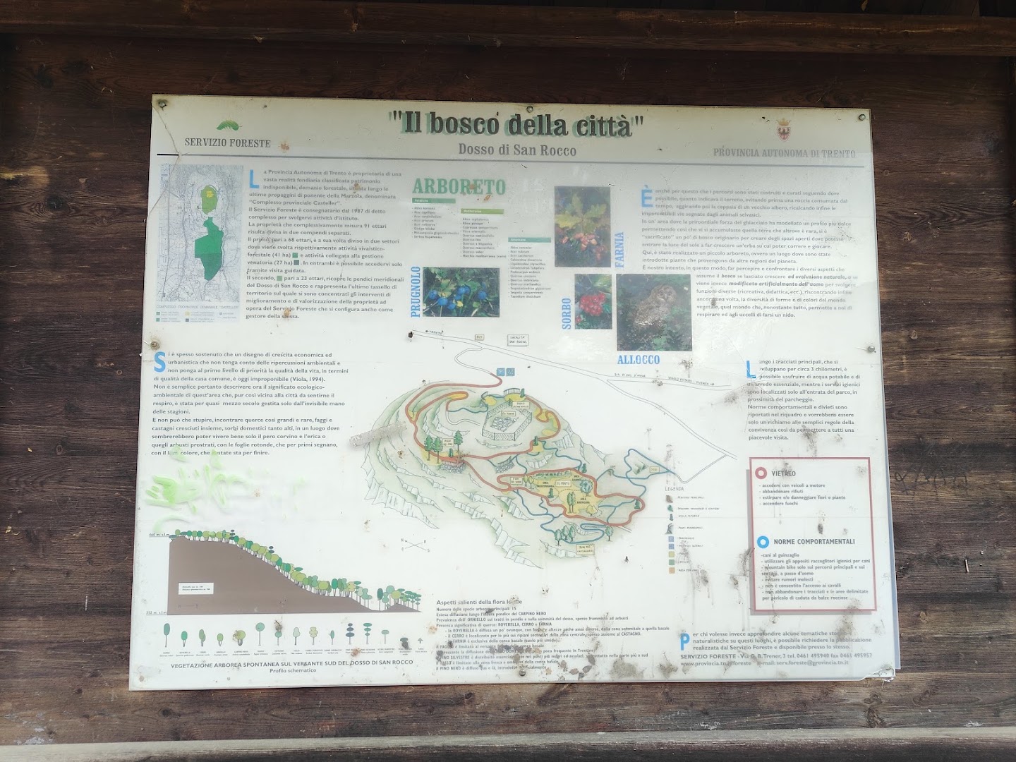 Parco Bosco della Città