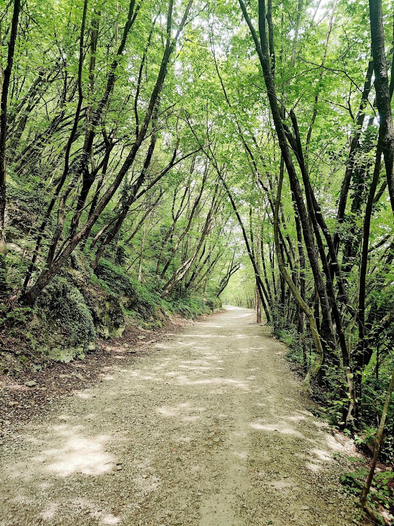 Parco Bosco della Città