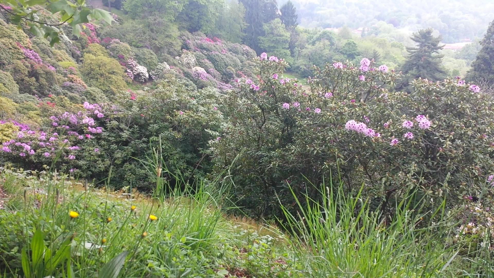 Parco Burcina Felice Piacenza