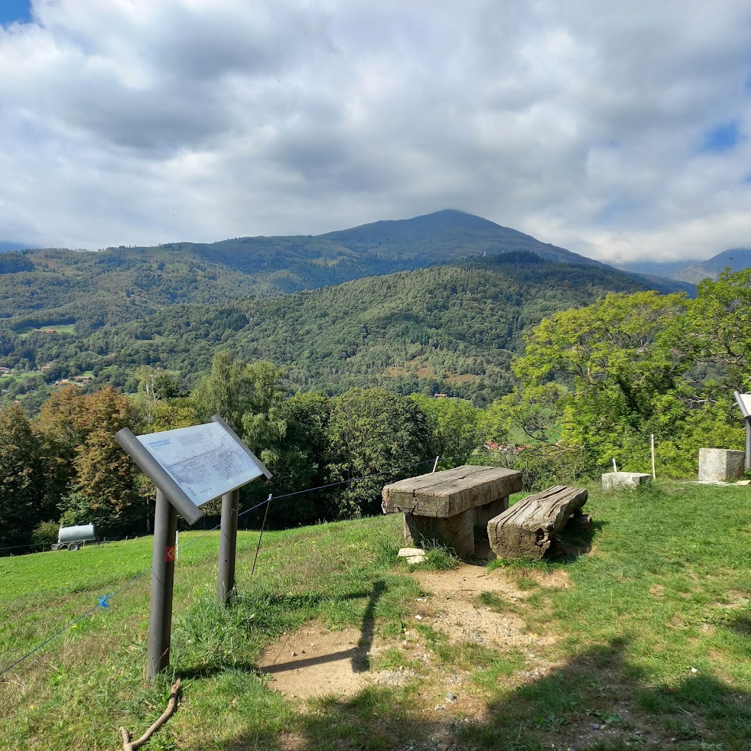Parco Burcina Felice Piacenza