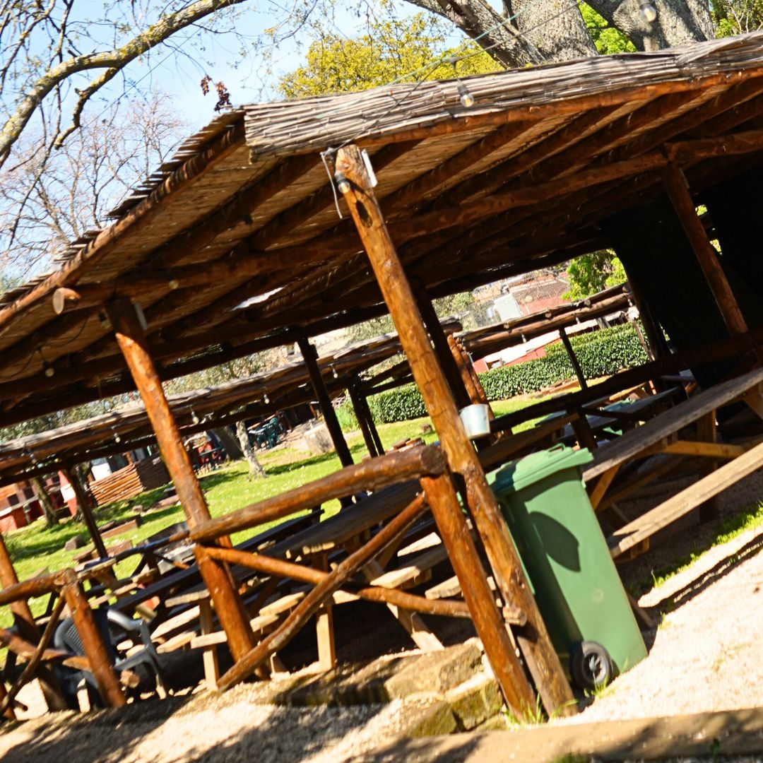 Parco Catone Adventure