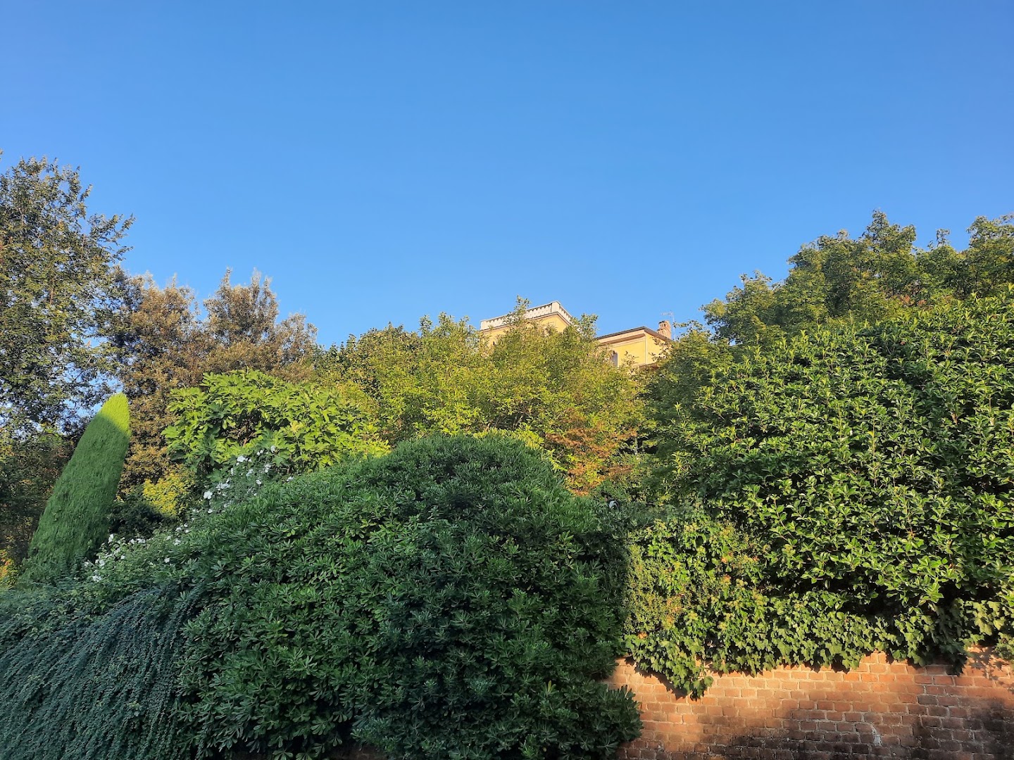 Parco Certosa Cantù