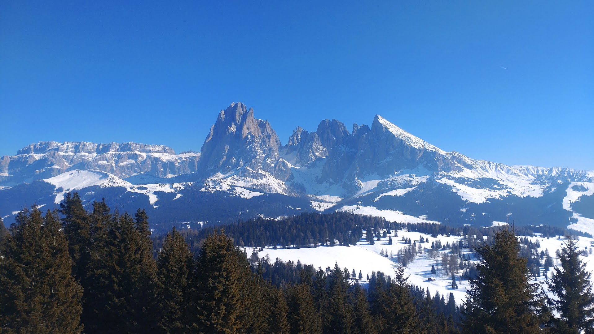Parco Cervi Sompunt - Alta Badia