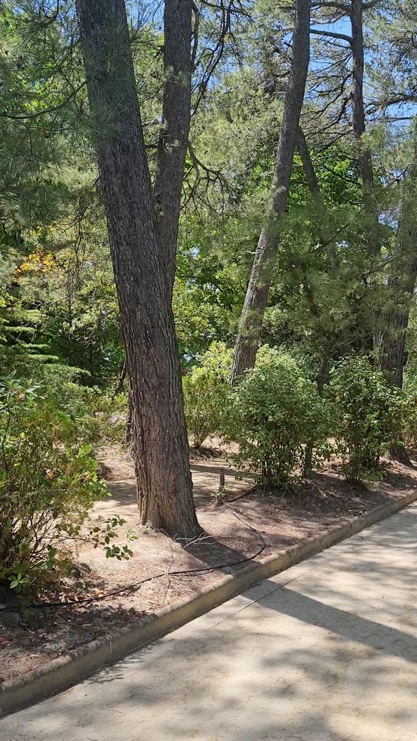 Parco Colle Celeste, Maiolati Spontini