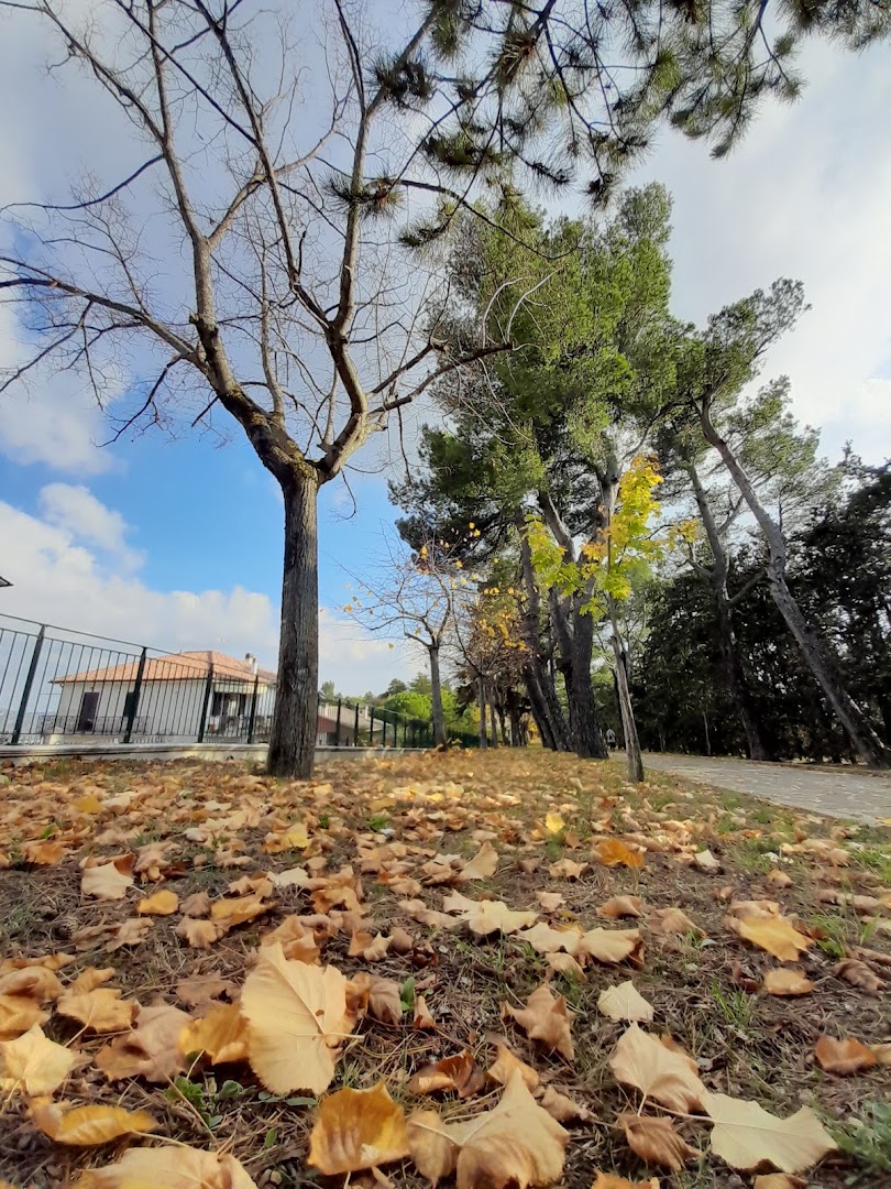 Parco Colle Elisa
