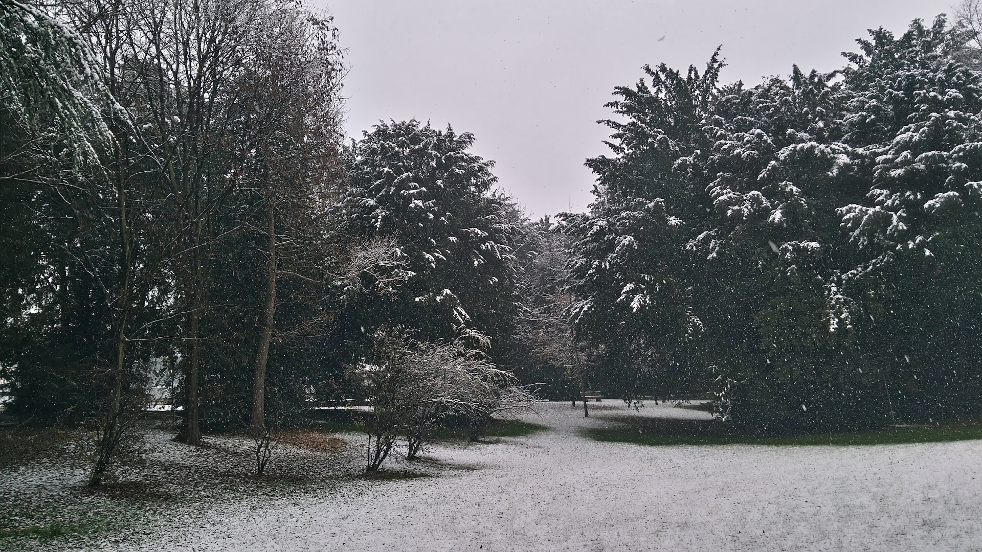 Parco Comunale Falcone e Borsellino